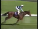1987年 第4回 ブリーダーズカップマイル(Breeders' Cup Mile)ミエスク(Miesque)