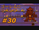 【実況】凄い家を造りたくて【PC版テラリア】Part30