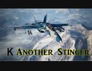 Ace Combat 7 Multiplayer425  バトルロイヤル  F/A-18F