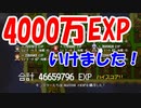 3000万EXPいけたと喜んでたら、4000万EXPいってました【レベル上げにちょうどいい島】＃２８