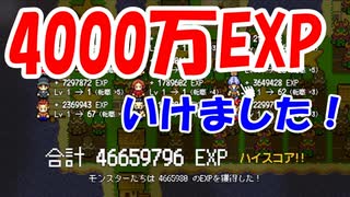 3000万EXPいけたと喜んでたら、4000万EXPいってました【レベル上げにちょうどいい島】＃２８