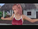 DOAX3fortune 本日グラビアパラダイスランダム 8分