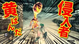 【初見】厨二病の私が嫁を作ってダクソDLCをやる【実況】part3