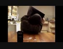 CƟNCᒧUSIƟN CƟNNE✕IƟN Gone Wrong at Halloween