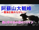 【旅猫あずき】阿蘇山大観峰で叫ぶ＼(^o^)／【保護猫から旅猫へ】