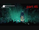 【攻略ガン見実況】 Hollow Knight  part46【飲酒注意】
