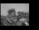 ナチスドイツ軍の貴重な狙撃訓練映画 第四部 ドイツ軍人は芋らない