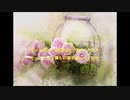 Ｋ・Ｍ・Ｔ【オリジナル／オフボーカル】