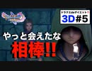 結局ステテコパンツ無かったなあ〜【ドラゴンクエスト11S】3D＃５。デルカダール城下町〜???