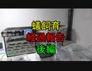 【ありの飼育記#77】現在のコロニーの経過報告します【後編