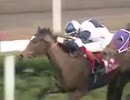 2004年 第18回 香港カップ(Hong Kong Cup)アレクサンダーゴールドラン(Alexander Goldrun)