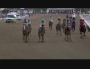 2013年 第30回 ブリーダーズカップクラシック(Breeders' Cup Classic)ムーチョマッチョマン(Mucho Macho Man)
