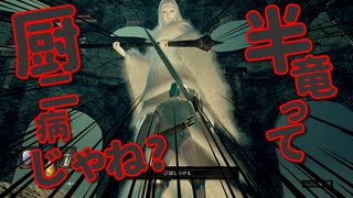 【初見】厨二病の私が嫁を作ってダクソDLCをやる【実況】part5