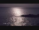 Metis - 花鳥風月