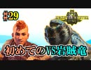 MHP2G勢がMHWIやってみた　その29