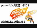 【リングフィットアドベンチャー】その１：きっと筋肉痛は三日後に来るのだろう【nikore】