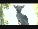 【人喰いの大鷲トリコ】鶏喰いのわしが実況プレイ  Part2