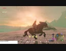 軽い縛りとマスターモードでゼルダの伝説ブレスオブザワイルドpart130。