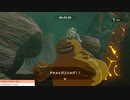 軽い縛りとマスターモードでゼルダの伝説ブレスオブザワイルドpart133。