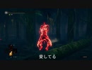 【ダークソウルR】逢い死会う侵入１９