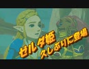 【実況】ゼルダの伝説 BREATH OF THE WILD　Part53【初見】