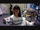 【猫の多頭飼い】ねこ姉さんふじ子のおしゃべり報告会 2019.11.01