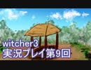 探し人を求めてwitcher3実況プレイ第9回