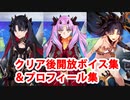 Fate/Grand Order スペース・イシュタル マイルーム クリア後追加ボイス集＋開放プロフィール集