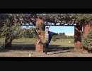 【*ふく´ Д `ざわ*】lllトゥルティンアンテナ lll  踊ってみた。