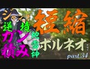 ジャンプ短縮逆境強化ガン積み地雷神ボルネオが往くpart.34【Splatoon2】