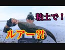 子供が粘土で作ったルアーで魚は釣れるのか？【もっち釣動組合♯５９】