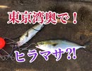 東京湾奥！青物釣ーリング！え！ヒラマサ？【もっち釣動組合♯６０】