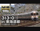 【JR東海】313系0番台 in 東海道線 ～Collection Vol.01～