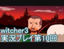 探し人を求めてwitcher3実況プレイ第10回