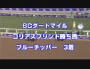 【速報 海外競馬】BCダートマイル コリアスプリント勝ち馬 ブルーチッパー 1080p【大健闘の3着】