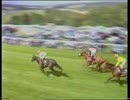 1988年 サセックスステークス(Sussex Stakes)ウォーニング(Warning)