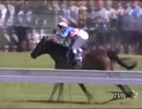 2003年 第143回 メルボルンカップ(Melbourne Cup)マカイビーディーヴァ(Makybe Diva)