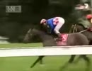 2004年 第144回 メルボルンカップ(Melbourne Cup)マカイビーディーヴァ(Makybe Diva)