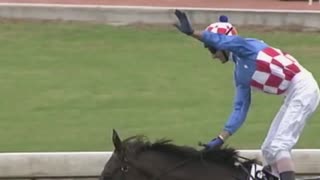 2005年 第43回 ザ・BMW(ATC The BMW)マカイビーディーヴァ(Makybe Diva)