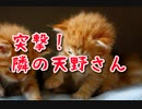 天野のメモさんに絡みついてみた