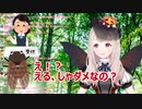 【エルフのえる】受付で本名を尋ねられる