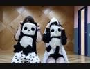 【あぐぷるーん(仮)】いーあるふぁんくらぶに見せかけて、ササクレパンダ【踊ってみた】