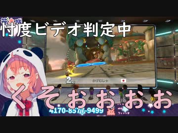 【笹木咲】耐久マリオカートまとめ