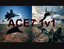 Ace Combat 7 Extra57 バトルロイヤル Eye_Shield氏とのタイマン総集編