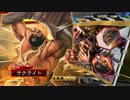 【天下統一戦】三国志大戦4Ver.2.6.0A【サテライト】146回