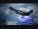 Ace Combat 7 Multiplayer432  バトルロイヤル  YF-23
