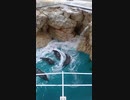 うみたまご　アザラシ水槽に注水中