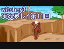 探し人を求めてwitcher3実況プレイ第11回