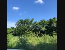 無条件の波動60