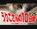 うりこさんの10日間 - 2019#26